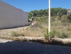 Οικόπεδο  (2)