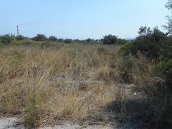 Οικόπεδο  (3)