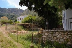 Οικόπεδο  (3)