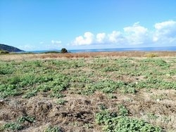 Οικόπεδο  (3)