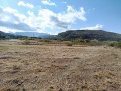 Οικόπεδο  (4)