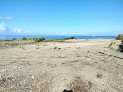 Οικόπεδο  (5)