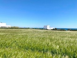 Οικόπεδο  (4)