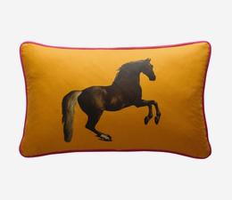 national_gallery_whistlejacket_orange_cushion_front_ACC2745_
