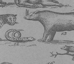 andrew_martin_museum_wallpapers_ark_cloud_wallpaper