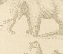 andrew_martin_museum_wallpapers_ark_sand_wallpaper