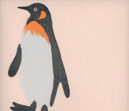 andrew_martin_wallpapers_emperor_pink_jpg