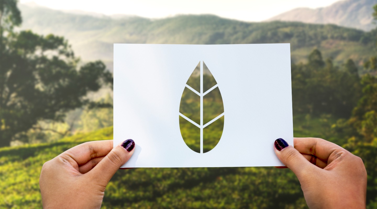 Webinaire : Est-ce que le greenwashing est-il toujours volontaire ?