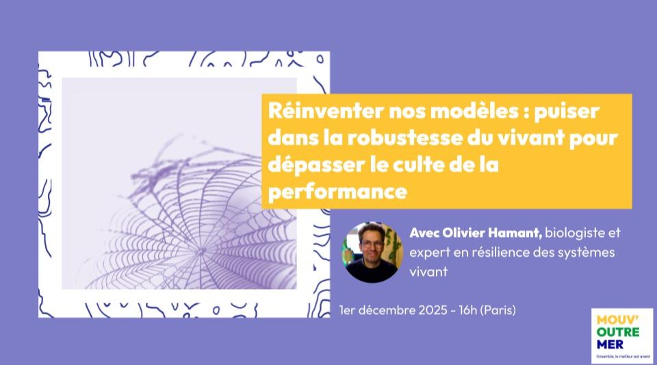 Réinventer nos modèles : puiser dans la robustesse du vivant pour dépasser le culte de la performance