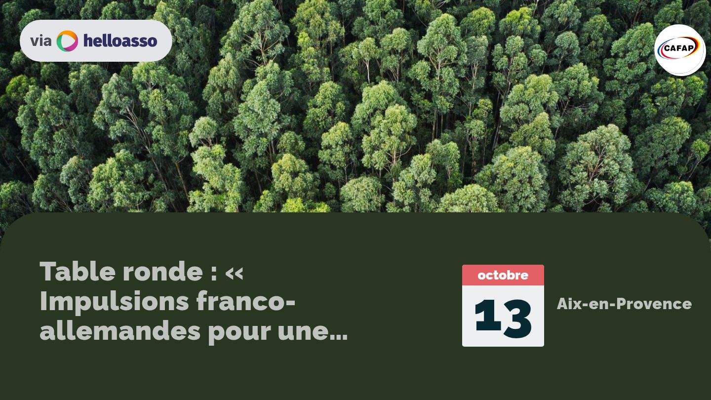 Table ronde : « Impulsions franco-allemandes pour une société de la résilience 