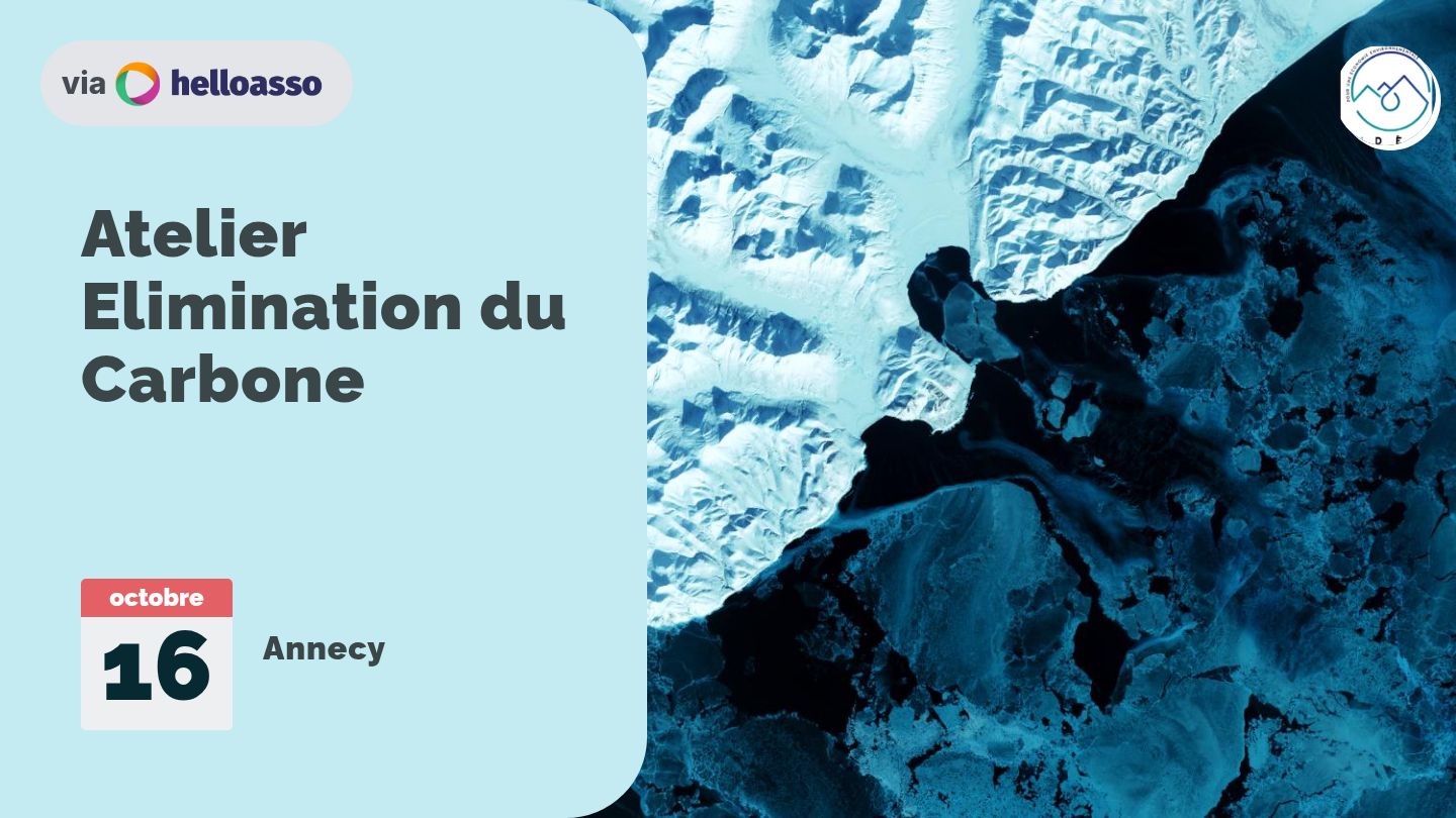 Atelier Elimination du Carbone