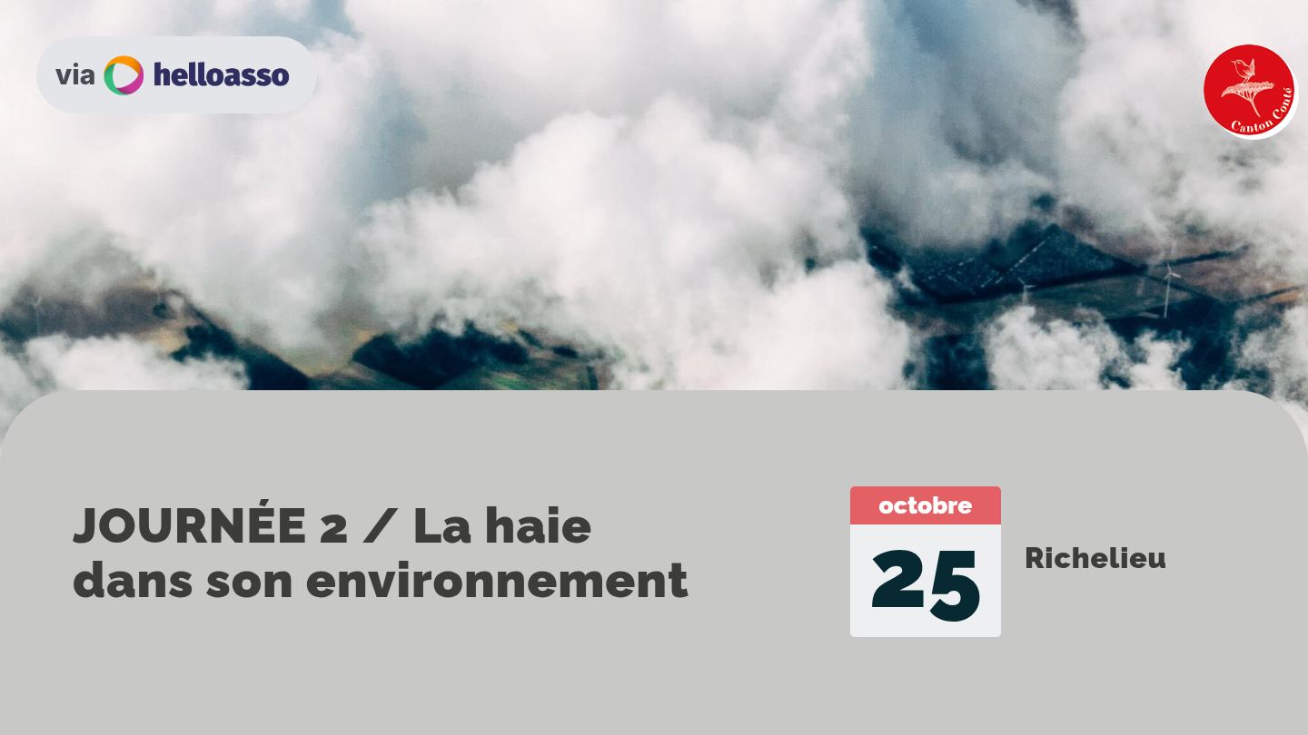 JOURNÉE 2 / La haie dans son environnement