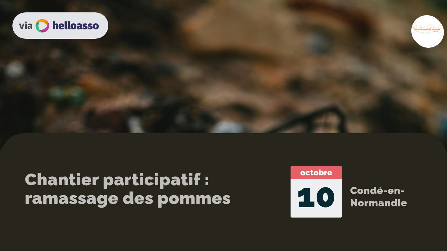 Chantier participatif : ramassage des pommes