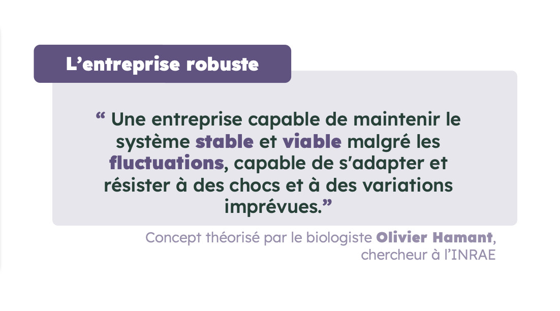 Convergences - l'atelier qui explore la robustesse des organisations
