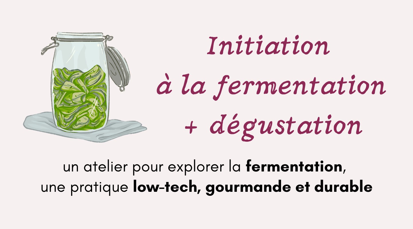 Initiation à la fermentation + dégustation