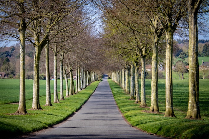 Arbeidsrecht En Reorganisatie