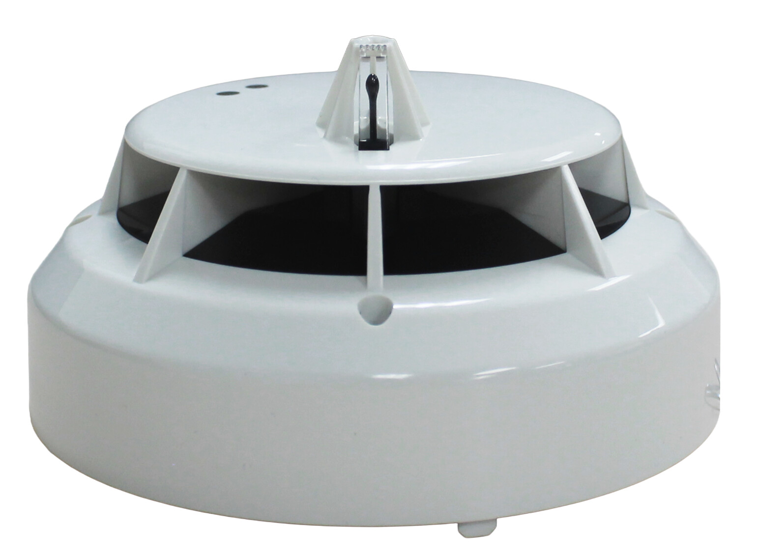 ACE-V 1 image