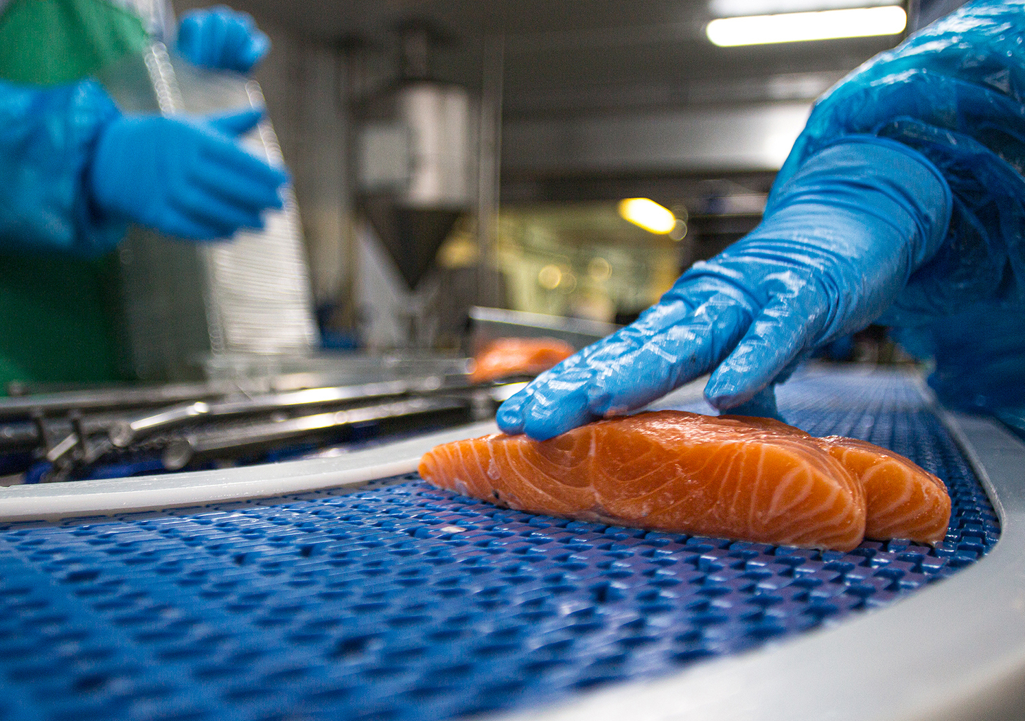 Record Sales & Meeting COVID-19 Food Demand