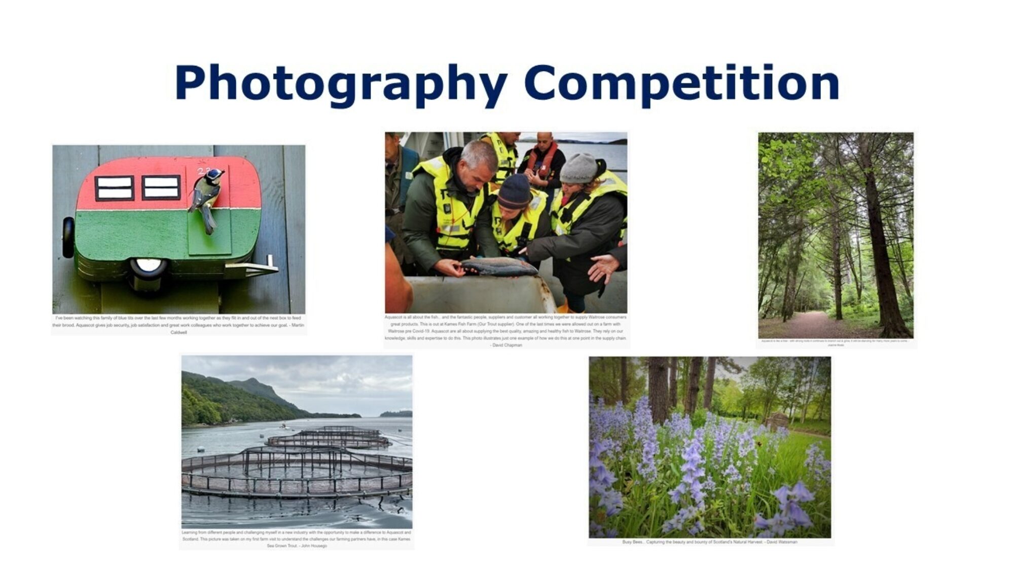 Slide7.JPG
