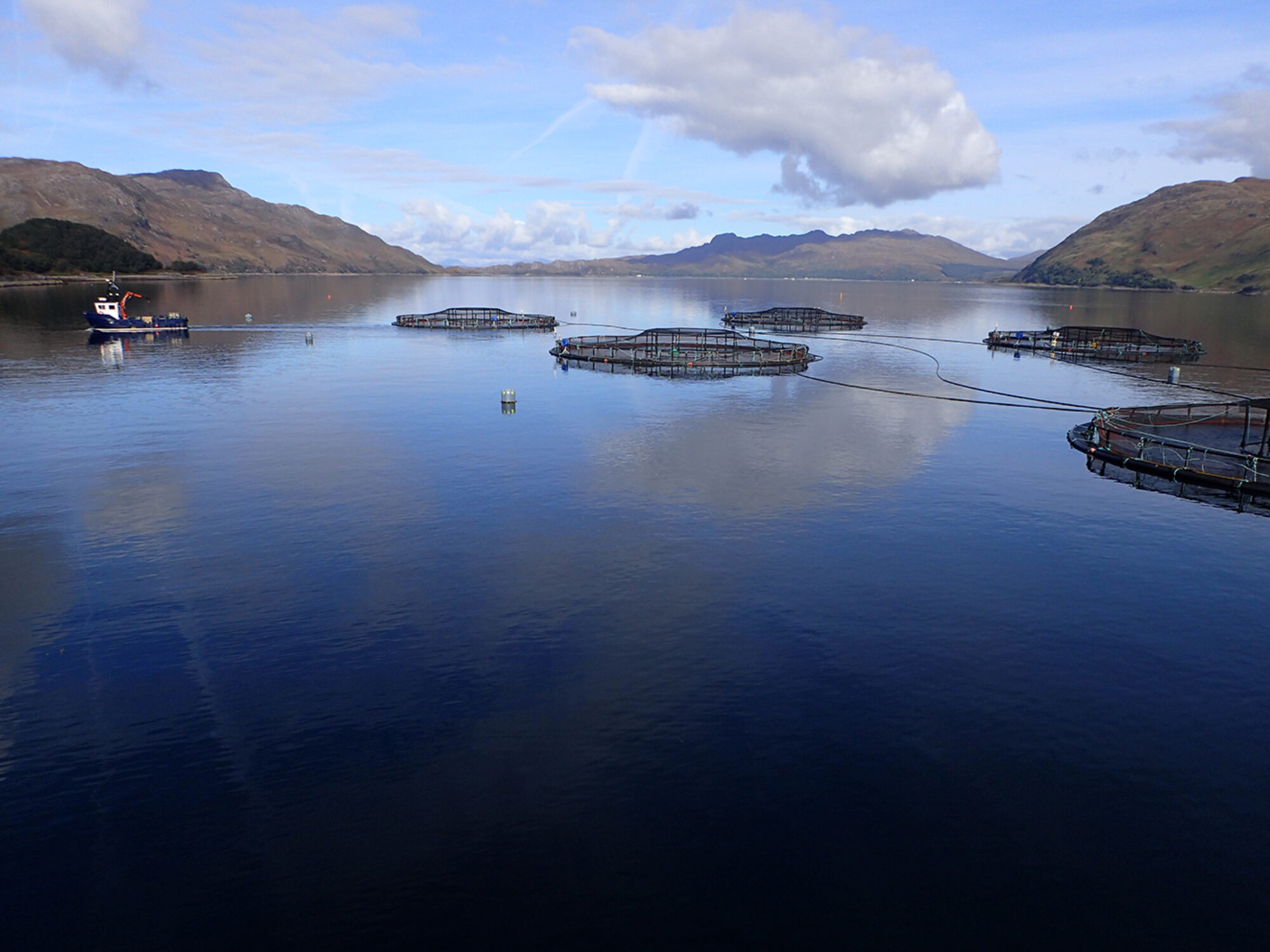 Salmon-Farm-—-Nevis-2017-—-Aquascot-Scotland-Aquaculture.jpg