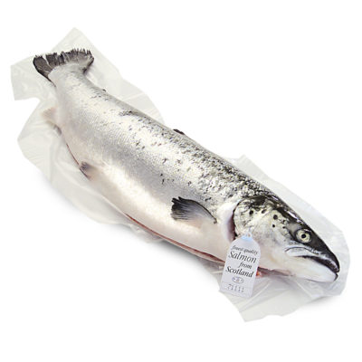 Small Fresh Whole Scottish Salmon (2-3kg)