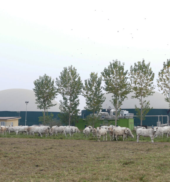 Impianti a biogas nella campagne della provincia di Cuneo