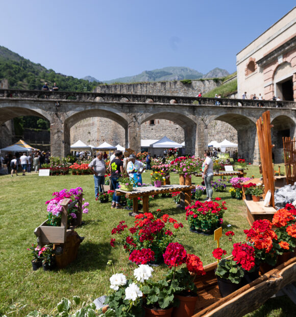 Torna al Forte di Vinadio la mostra-mercato Forte in Fiore