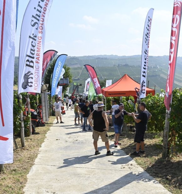 Oltre 600 partecipanti alla 12ª edizione delle prove in vigneto