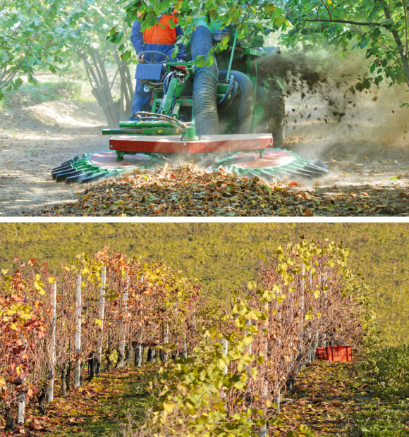 Lavorazioni in un noccioleto e un vigneto in provincia di Cuneo