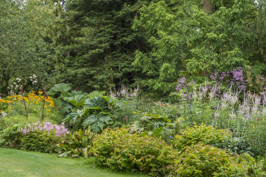 Lush plantings along the stream. Pinks, purples, yellows and greens.