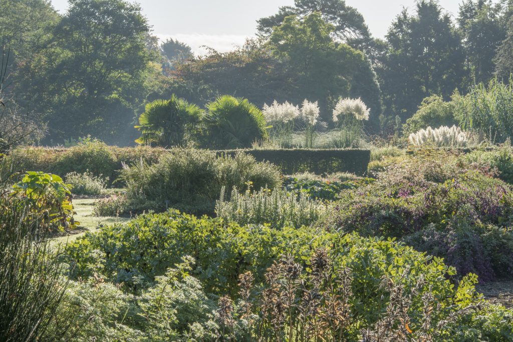 Systematic Beds, in their full summer glory.