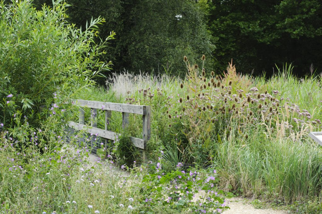 The Fen Display