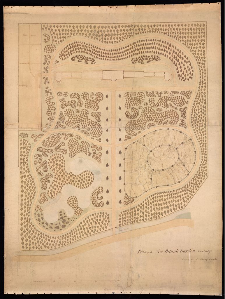 Murray's original plan for Cambridge University Botanic Garden.