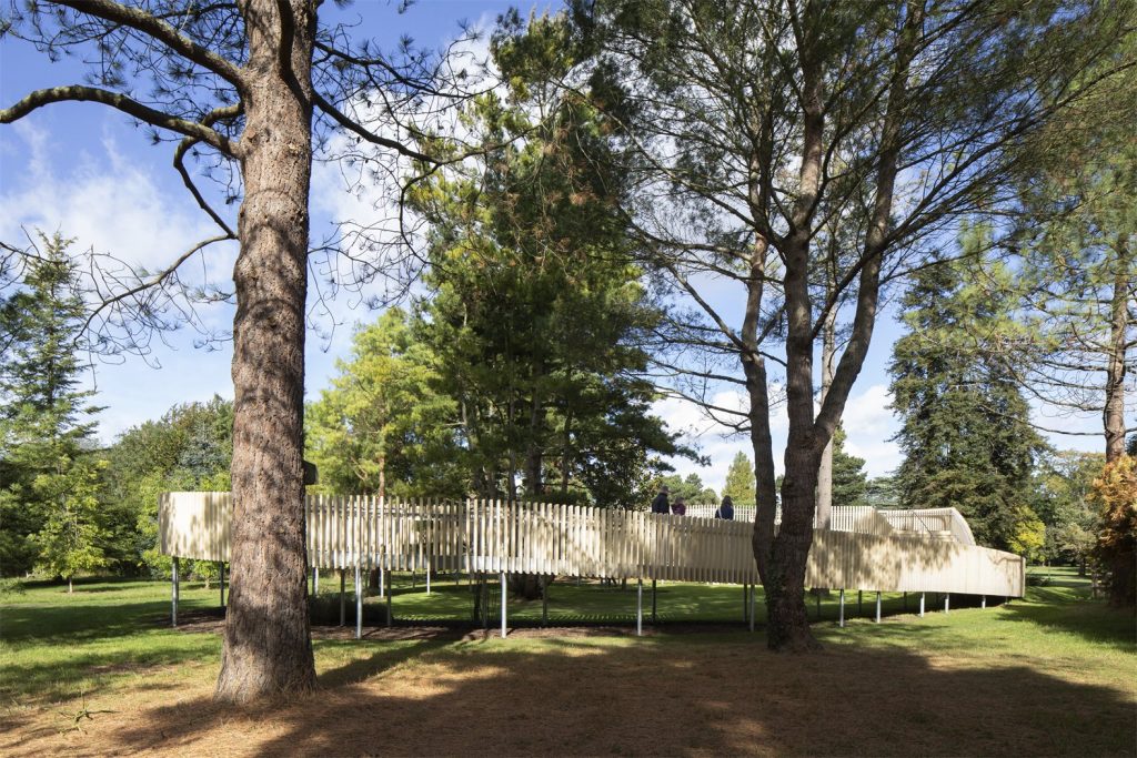 The Rising Path winds through the New Pinetum. Image: Richard Chivers