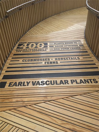 As you walk up the path, there are written facts on the floor about plant innovations.