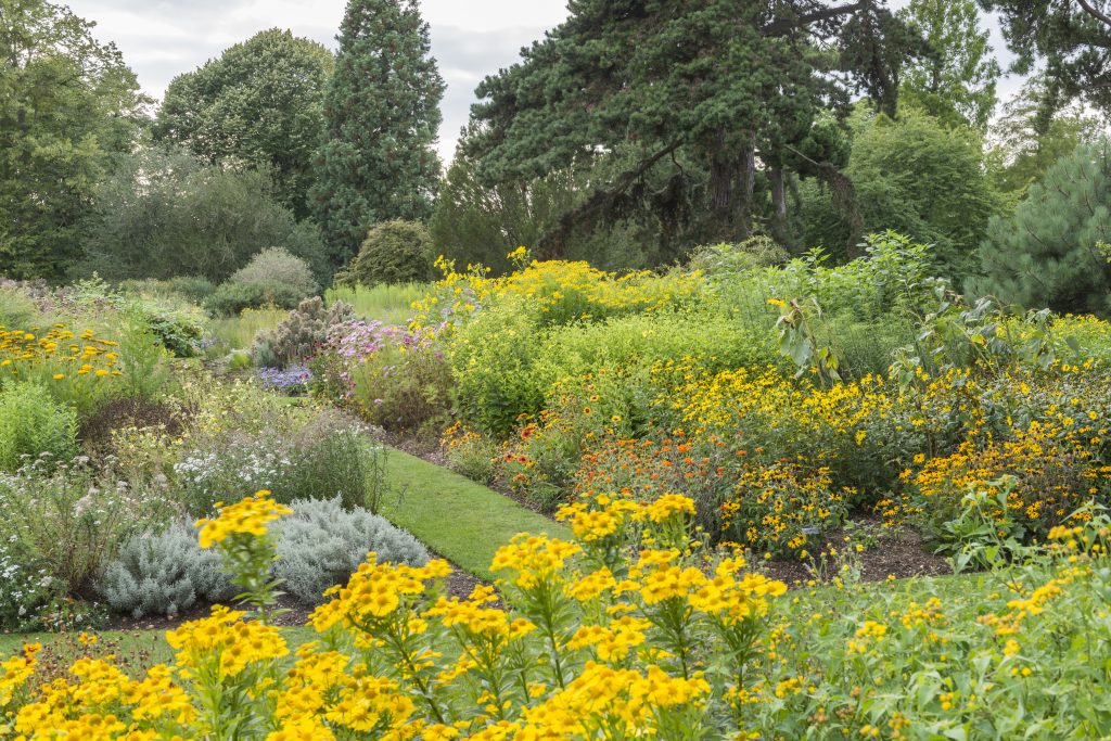 The Systematic Beds in summer.