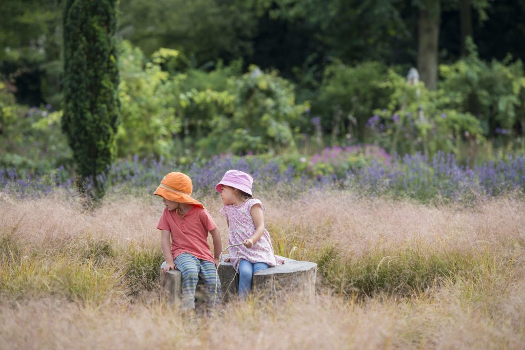 Two young children in the centre of the grass maze in the summer.