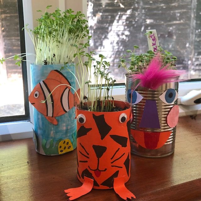 Microherbs growing on windowsill in pots decorated by children