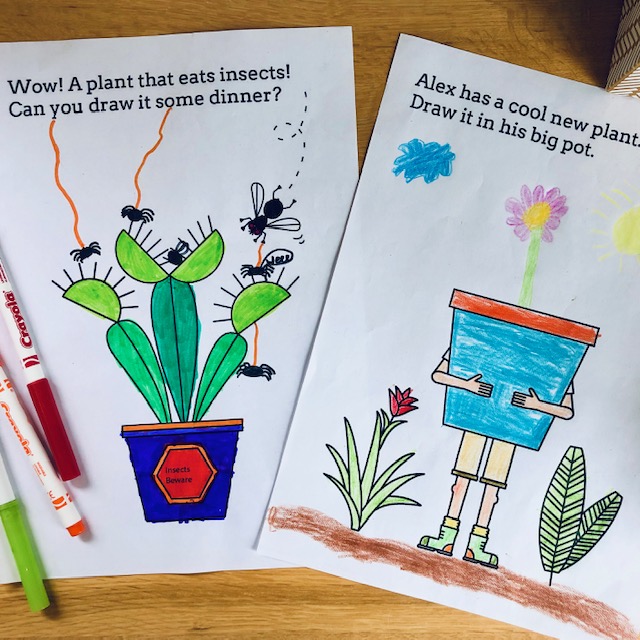Image of two botanic garden colouring sheets