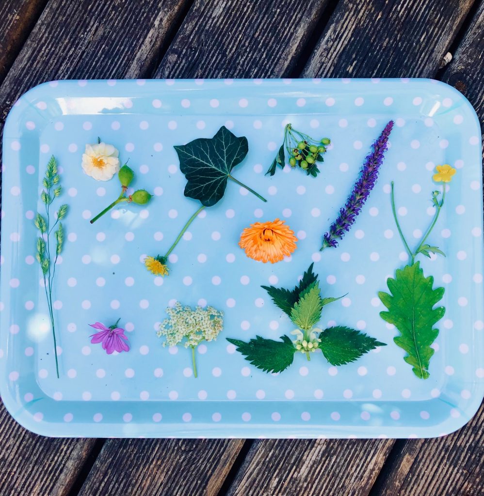 Image of flowers, leaves and grasses on a blue tray