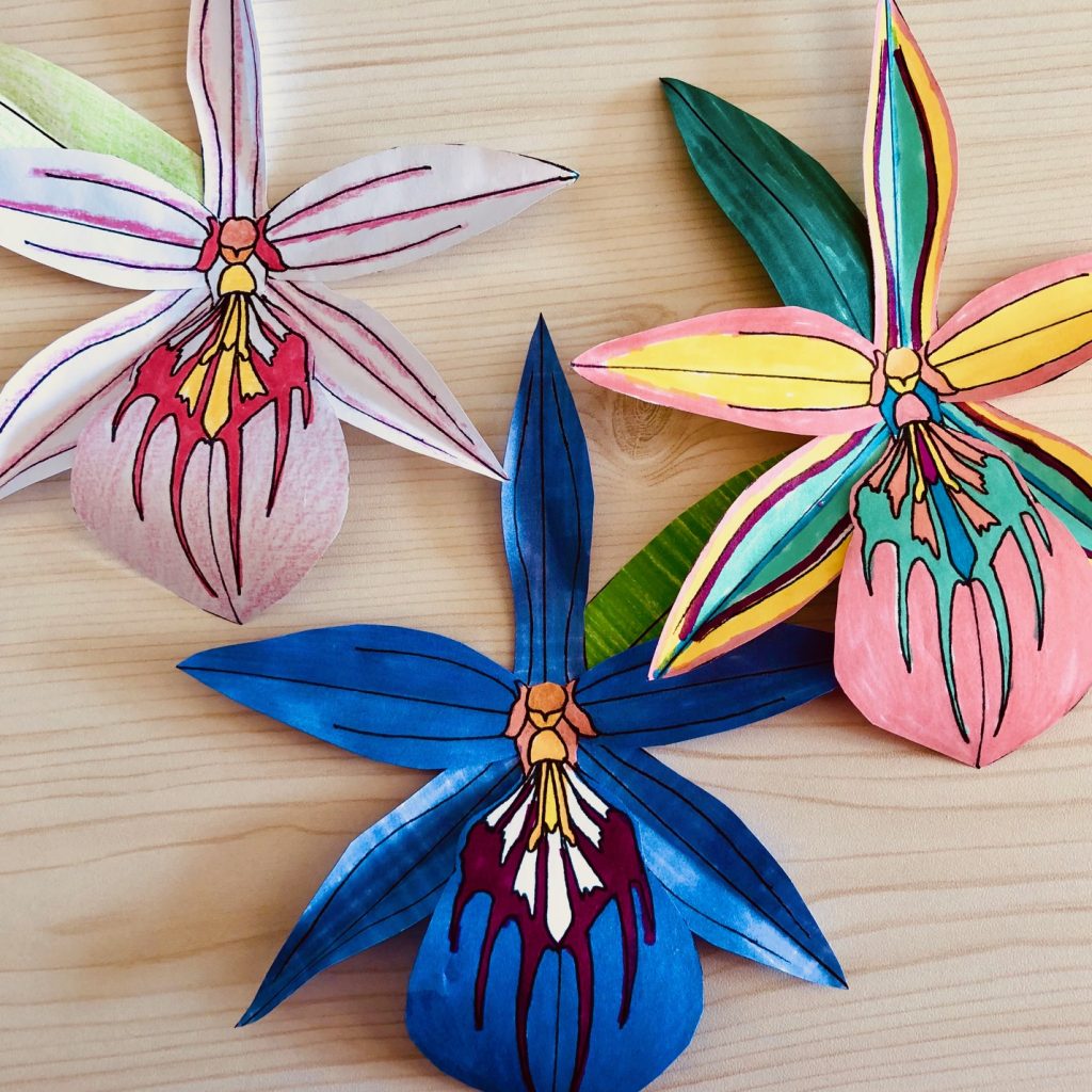 Image of colourful orchid flowers made out of paper