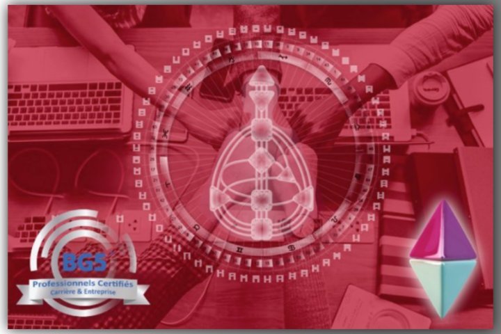 Programme  de formation de consultant BG5 trimestre 3 2026