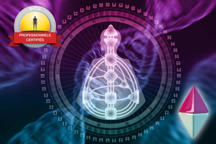 Cours Vivre son Design en ligne