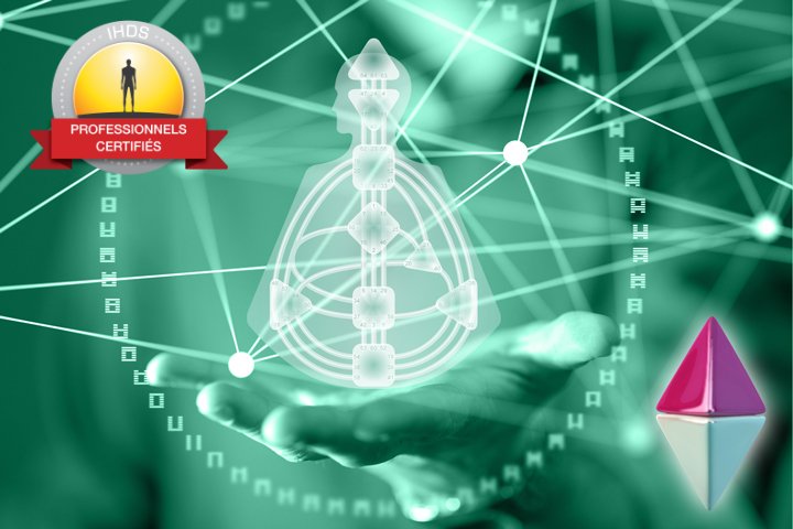 Programme de Certification d'analyste niveau 4 - 19h00 -  30 mars 2027