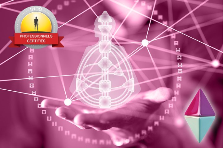 Programme de formation professionnelle d'analyste niveau 1