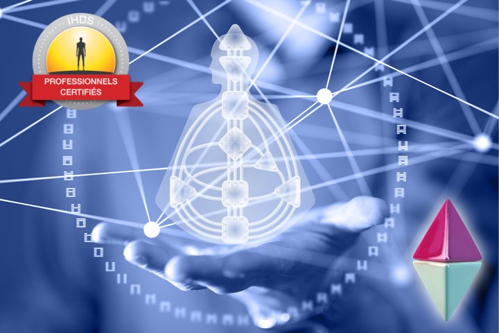 Programme de formation professionnelle d'analyste niveau 3