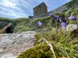 🌻

@dunnottarcastle 
