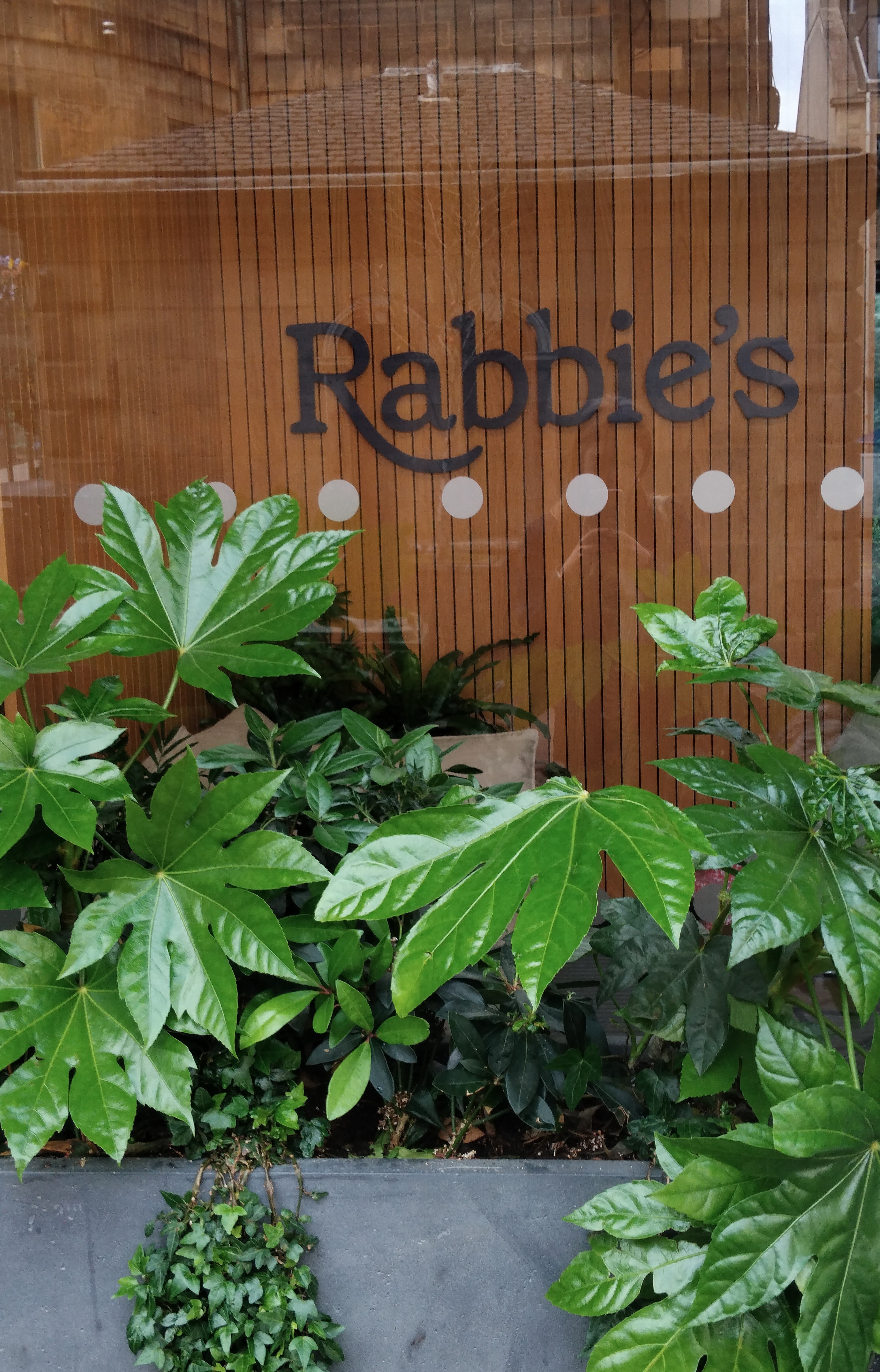 My Summer working for Rabbie's