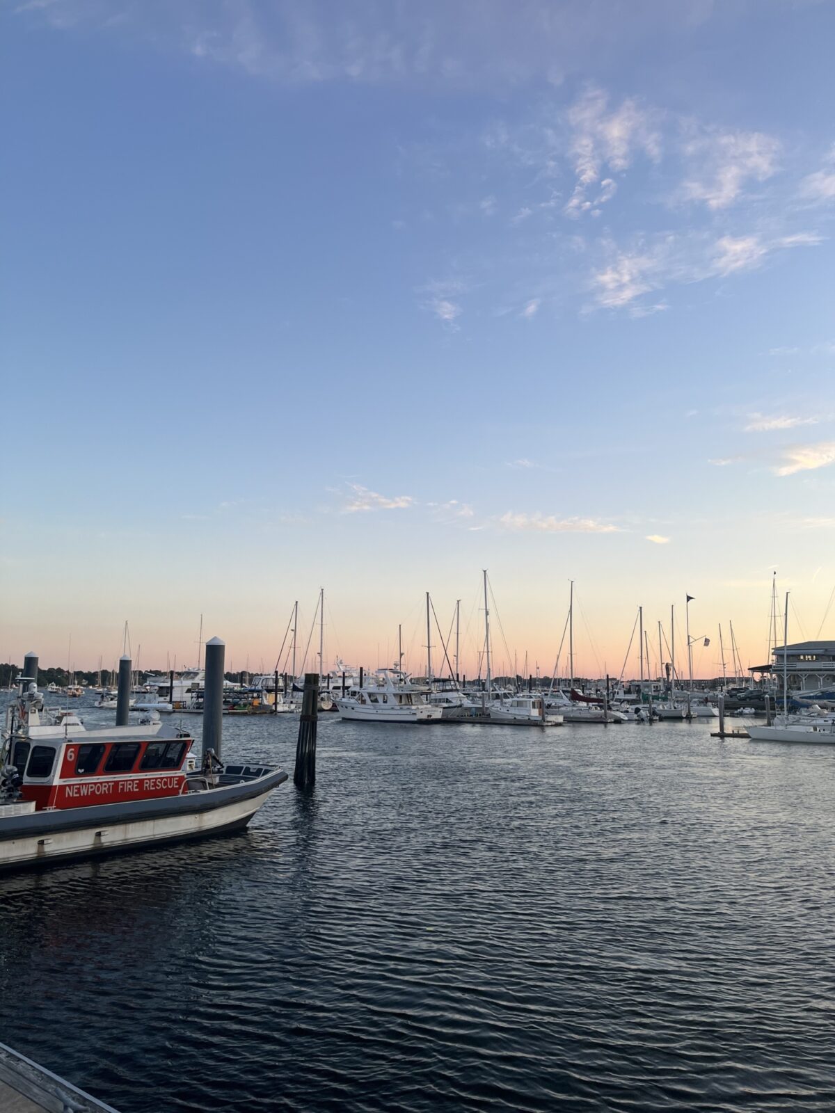 Mia Hardie Stop and Shop 6