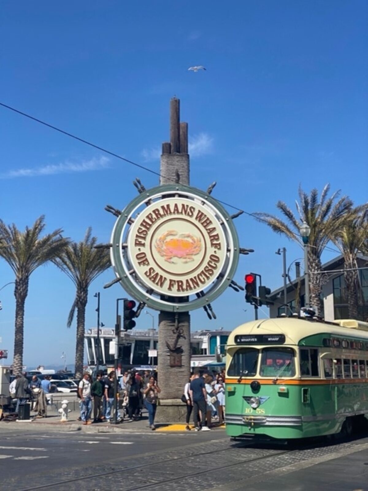 Sarah Perrotta Movn Health 3